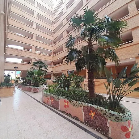 Costa Azahar I, New Dreams, Playa Amplaries